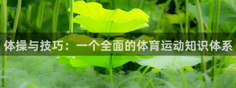 体操与技巧：一个全面的体育运动知识体系