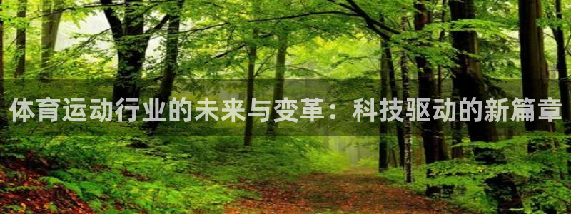体育运动行业的未来与变革：科技驱动的新篇章