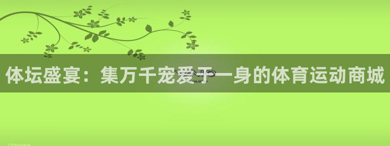 体坛盛宴：集万千宠爱于一身的体育运动商城