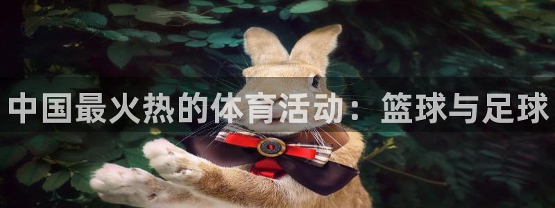 中国最火热的体育活动：篮球与足球