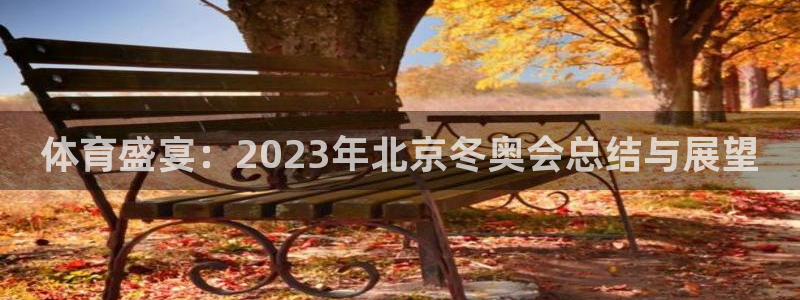 体育盛宴：2023年北京冬奥会总结与展望