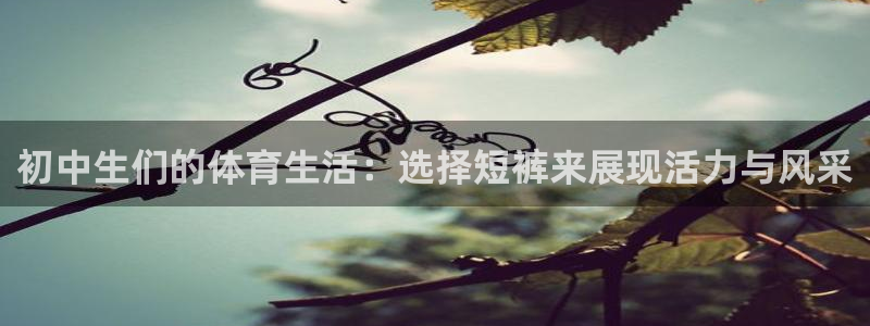 初中生们的体育生活：选择短裤来展现活力与风采
