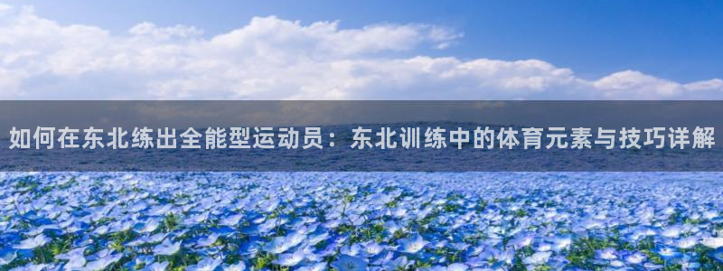 如何在东北练出全能型运动员：东北训练中的体育元素与技巧详解