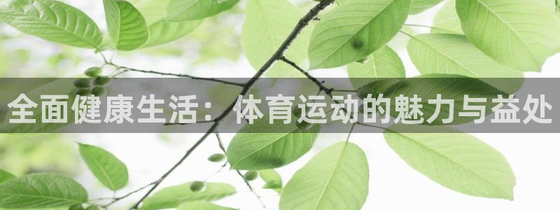 全面健康生活：体育运动的魅力与益处
