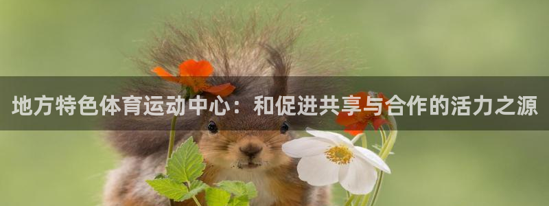 地方特色体育运动中心：和促进共享与合作的活力之源
