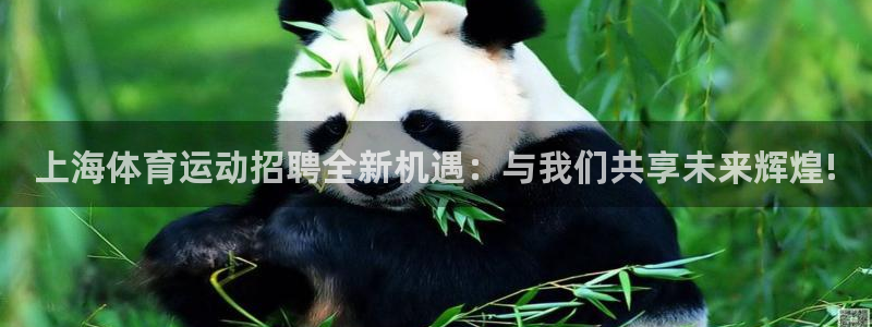 上海体育运动招聘全新机遇：与我们共享未来辉煌!