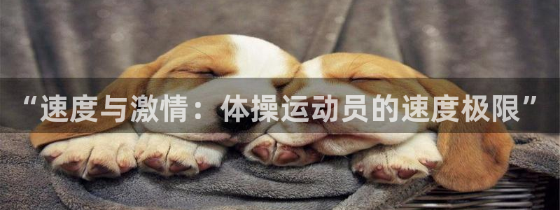 “速度与激情：体操运动员的速度极限”