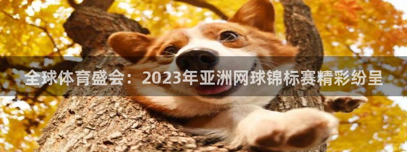 全球体育盛会：2023年亚洲网球锦标赛精彩纷呈