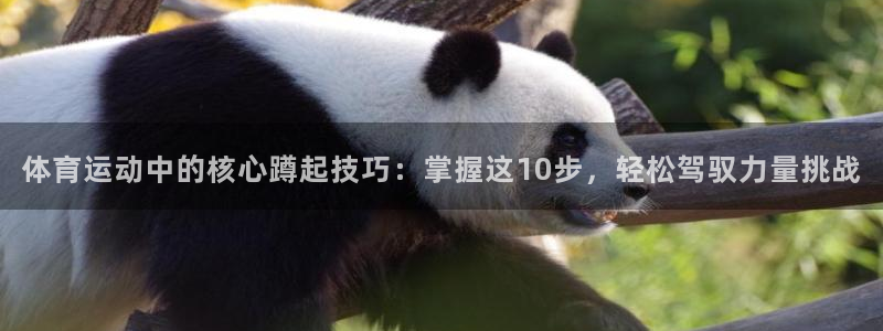 体育运动中的核心蹲起技巧：掌握这10步，轻松驾驭力量挑战