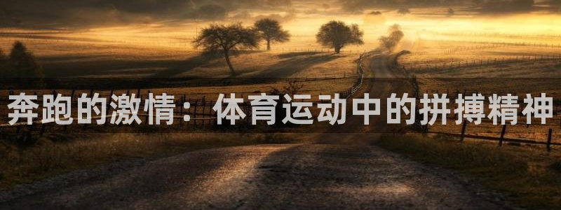 奔跑的激情：体育运动中的拼搏精神