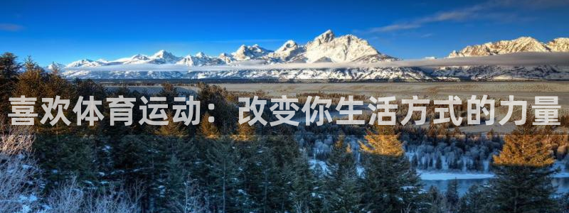 喜欢体育运动：改变你生活方式的力量