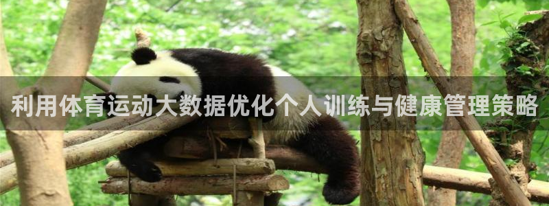 利用体育运动大数据优化个人训练与健康管理策略