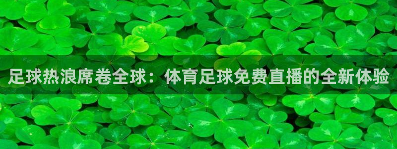 足球热浪席卷全球：体育足球免费直播的全新体验